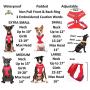 Dexil Limited Caution (Do Not Approach) Red Color Coded Non-Pull Front and Back D Ring Padded and Waterproof Vest Dog Harness Prevents Accidents by Warning Others of Your Dog in Advance