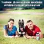 Arava Natural Medicated Dog Shampoo – Antibacterial Antifungal Anti Yeast Anti ITCH Dog Shampoo - Healthy Skin & Coat - First Aid in Hot Spots Ringworm Scrapes Abrasions & Dermatologic Infections 