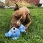 Smart Pet Love Tender-Tuffs - Comfort Smart Pet Love Tender-Tuffs - Comfort