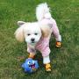 Petbobi Upgrade Dog Toys Interactive Monster Plush Giggle Ball Shake Squeak Crazy Bouncer Toys Exercise Electronic Toy for Puppy Motorized Entertainment for Pets