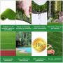 Artificial Grass, Professional Dog Grass Mat, Grass Pee Pad for Pet, Dog Potty Training Rug with Drainage Holes - Easy to Clean, Fake Turf for Indoor & Outdoor Patio Decor