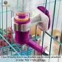 SunGrow Water Bottle, No Drip Dispenser Bottle, Secure Nozzle and Stainless Steel Drinking Head, Easy to Install in Cage or Crate, Refills Quickly, Keep Pets Hydrated