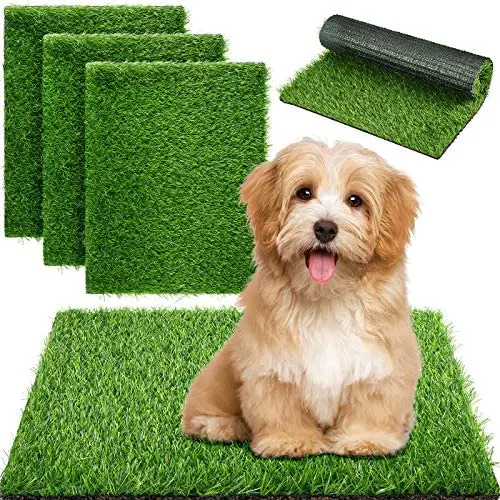 Weewooday 4 Pieces Dog Grass Pee Pads Artificial Dog Grass Mat Dog Artificial Turf Mat Pet Grass Rug Replacement Puppy Potty Trainer Fake Mat with Drainage Holes for Dogs Indoors Outdoors Weewooday 4 Pieces Dog Grass Pee Pads Artificial Dog Grass Mat Dog Artificial Turf Mat Pet Grass Rug Replacement Puppy Potty Trainer Fake Mat with Drainage Holes for Dogs Indoors Outdoors