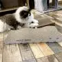 Poils bebe Cat Scratching Pad, Cardboard Reversible Cat Scratcher Large Wide Corrugated Modern Sofa Bed with Catnip (Pack of 4) Poils bebe Cat Scratching Pad, Cardboard Reversible Cat Scratcher Large Wide Corrugated Modern Sofa Bed with Catnip (Pack of 4)