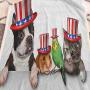 Fourth of July Blankets and Throws 50'' x 60'', Cute Pet Animal Dog Cat Bird and Hamster with American Hat Celebration Image Custom Blanket - Multicolor