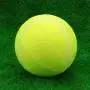 9.5 Inches Dog Tennis Ball Giant Big Inflatable Outdoor Tennis Ball Signature Mega Jumbo Pet Toy Training Ball Pet Chew Toy 9.5 Inches Dog Tennis Ball Giant Big Inflatable Outdoor Tennis Ball Signature Mega Jumbo Pet Toy Training Ball Pet Chew Toy