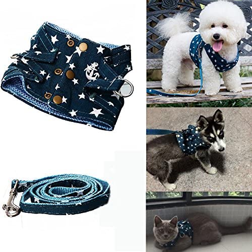 BroBear Pet Stars Vest Mesh Harness and Leash Set Blue for Cats & Small Dogs Blue
