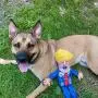 FUZZU All About Donald Duo: Classic & Special Edition Donald Political Parody Dog Toys – Medium 12” Size Toy