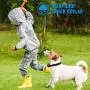 KOMIA Dog Training Collar Rechargeable and Rainproof 330 yd Wireless Remote Dog Shock Collar with Beep, Vibra and Shock Electronic Collar KOMIA Dog Training Collar Rechargeable and Rainproof 330 yd Wireless Remote Dog Shock Collar with Beep, Vibra and Shock Electronic Collar