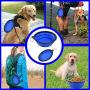 BUDDING Collapsible Dog Bowl for Travel – 34 oz (1000 ml) Water & Food Feeding Foldable Bowl – Best for Big, Medium & Small Size Dogs – Silicone Dog Dishes Food Bowl with Carabiner Clip