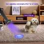 UV Black Light Flashlight, 100 LED High Power 395 nM Ultraviolet Flashlights UV blacklight Detector for Dog Urine, Pet Stains and Bed Bug, Matching with Pet Odor Eliminator