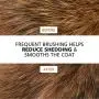 Wahl Large Pin Bristle Brush #858414 Wahl Large Pin Bristle Brush #858414