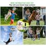 Dog Soccer Ball Toy, Interactive Dog Toys Soccer Ball with Grab Tabs ,Water Dog Toy for Large Medium Small Breeds,Durable Outdoor Herding Jolly Ball Toy for Dog Present Gift