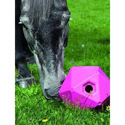 Shires Horse Pony Equine Ball Feeder Stable Toy Treat Ball Orange 9''