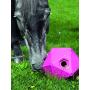 Shires Horse Pony Equine Ball Feeder Stable Toy Treat Ball Orange 9''