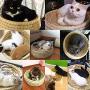 LWINGFLYER Bowl-Shaped Cat Scratch Board Pad Straw Pet Nest Bed Cat Toy Supplies Hand-Woven Rattan Grass Bed