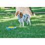 Aspen Pet Stay-a-Round Bowl