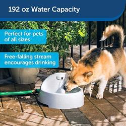 PetSafe Drinkwell Everflow Indoor/Outdoor Dog and Cat Water Fountain, Pet Drinking Fountain, 192 oz. Water Capacity