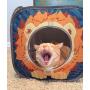 Kitty City Jungle Cat Cube Combo, Collapsible Cat Cube, Cat Bed, Tunnel, Cat Toys