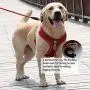 RIDVANVAN Dog Harness and Leash Set No-Pull Pet Harness Adjustable Soft Vest Reflective No-Choke Easy Breathable Mesh for Medium Dogs 2 Leash Clip Red 2X-Large RIDVANVAN Dog Harness and Leash Set No-Pull Pet Harness Adjustable Soft Vest Reflective No-Choke Easy Breathable Mesh for Medium Dogs 2 Leash Clip Red 2X-Large