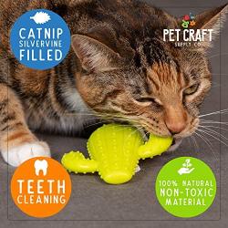 Pet Craft Supply Cactus Interactive Cat Toy Chew Toy Teeth Cleaning Bite Resistant 100% Natural Rubber with Bonus Catnip and Silvervine Bags for Kittens and Adult Cat