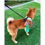 Sytian Dog Poop Bag Dispenser Dog Poop Bag Holder for Dog Waste Bags Dog Poop Bags Attaches to Dog Leash Includes 1 Roll 15 Bags (1 pcs)