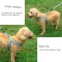 Wealer Dog Harness,The Most Easy to Control Adjustable Dog Harness and Leash Set,No Pull Breathable Soft Air Mesh Dog Vest Harness for Small and Medium Dogs…
