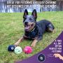 Chew King Fetch Balls Durable Natural Floating Dog Toy, Float and Glow Flyer, Squeaker Ball Dog Toy