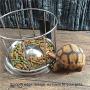 Gancon Stainless Steel Reptile Food Feeder,Durable Water Dish Bowl for Tortoise Turtles(S)
