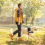 Padded Dog Harness Set: No More Struggling! Easy & Full Control With a Durable No-Pull Harness, Comfortable for Your Pet, Small to X-Large. Reflective & Washable. Includes a Leash and a Car Seat-Belt
