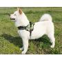 Yicat Panda Non-Pull Soft Padded Dog Body Harness Heavy Duty,Size from X-Small to X-Large,3 Colors