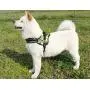 Yicat Panda Non-Pull Soft Padded Dog Body Harness Heavy Duty,Size from X-Small to X-Large,3 Colors Yicat Panda Non-Pull Soft Padded Dog Body Harness Heavy Duty,Size from X-Small to X-Large,3 Colors
