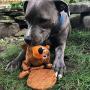 Smart Pet Love Plush Toy