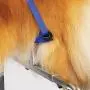 Master Equipment Adjustable Professional Dog Grooming Supports Clamp Cushion with Security Strap Master Equipment Adjustable Professional Dog Grooming Supports Clamp Cushion with Security Strap