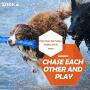 ZNOKA TPR Squeak Dog Chew Bone Toy, Bite Resistant Durable Tough Rubber Non-Toxic Tooth Cleaning Toy for Aggressive Chewer, Floating & Suitable for Pool Use(Large)