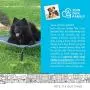 Paws & Pals Elevated Dog Bed, Portable Raised Pet Cot Platform with Steel Frame and Lifted Cooling Mesh Hammock Best for Dogs, Puppy & Cat Indoor or Outdoor Use, Medium Suspended Trampoline 32” x 25” Paws & Pals Elevated Dog Bed, Portable Raised Pet Cot Platform with Steel Frame and Lifted Cooling Mesh Hammock Best for Dogs, Puppy & Cat Indoor or Outdoor Use, Medium Suspended Trampoline 32” x 25”
