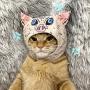 Demon Slayer Cat Costume Cosplay Mask Hashibira Inosuke Pet Accessories Cat Toys