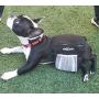 kANOHAVOk Dog Pet Large Treat Bag, Training Pouch with Shoulder Strap, Multifunctional Pockets, Belt Loop and Waistband Hook for Security, Storage for Treats, Toys, and Accessories