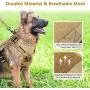 rabbitgoo Tactical Dog Harness and Bungee Dog Leash Set for Large Medium Dogs, Molle Vest for Service & Training Military Dogs Adjustable Training Hunting Dog Tactical Vest, Tan, L, Chest (31.5-41.3”)
