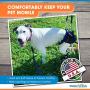 Walkin Lift Combo Rear Dog Harness for Mobility | Helps Dogs with Arthritis, Senior Dogs and Pets Recovering from Surgery