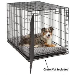MidWest Homes for Pets Plush Dog Bed | Coco Chic Dog Bed & Cat Bed