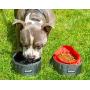 Leashboss Collapsible Dog Bowls - Two Large 64 Ounce Folding Travel Water and Food Bowls