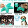 Dog Toy Chewer Toothbrush, Interactive Toothbrush Toy Squeaky Teeth Cleaning Dental Care, New Starfish Design Chewer for Aggressive Dog Small Medium Large