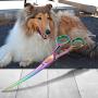 SHARF Professional 8.5'' Curved Rainbow Pet Grooming Scissors: Sharp 440c Japanese Clipping Shears for Dogs, Cats & Small Animals| Rainbow Series Hair Cutting/Clipping Scissors w/Easy Grip Handles
