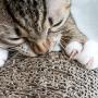 Cat Scratching Post- Wood and Cardboard Incline Vertical Scratcher Station for Kittens and Large Cats, Furniture Scratch Deterrent by PETMAKER