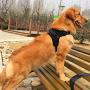 TAIL UP Black Pet Dog Harness Soft Front Range Vest No Pull Double Adjustable Walk Out Vest Collar Hand Strap
