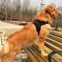TAIL UP Black Pet Dog Harness Soft Front Range Vest No Pull Double Adjustable Walk Out Vest Collar Hand Strap TAIL UP Black Pet Dog Harness Soft Front Range Vest No Pull Double Adjustable Walk Out Vest Collar Hand Strap