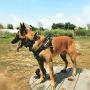 Dingo Gear Multifunctional Harness for Dog in Work, Guard Dog Training, K9 and Ipo, Cobra System Handmade