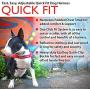 EzyDog Quick Fit No Pull Adjustable Harness Vest (Large, Black) and EzyDog Click - Car Seatbelt Harness Attachment (17.5in - 26in)