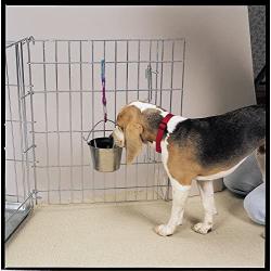 ProSelect Stainless Steel Flat Sided Pet Pail